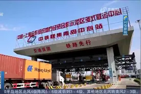上合示范区到发中欧班列创新高，中亚方向班列成新增长点视频封面