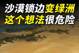 锁边3046公里，塔克拉玛干沙漠变绿洲？这个想法很危险！视频封面