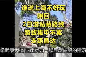 谁说上海不好玩！刚回！2日游私藏路线！路线集中不累！走路直达视频封面
