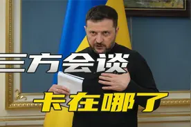 看似谈了其实没谈，泽连斯基一句话，道出美俄乌会谈的最大阻碍视频封面
