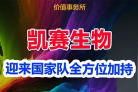 下一个恒瑞医药，国家队暴力抢筹+无限赋能，真正的硬科技龙头视频封面