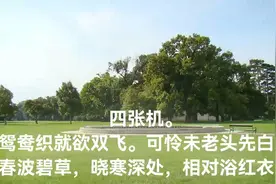 九张机视频封面