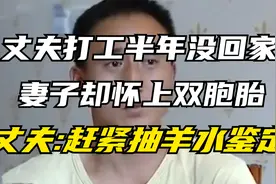 丈夫外出打工半年没回家，妻子却怀上双胞胎，丈夫：抽羊水鉴定！视频封面