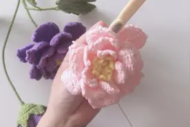 第五集 大花朵第四层花瓣钩织教程视频封面