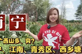 广西南宁市特色地名由来：青秀区、邕宁、西乡塘、武鸣视频封面