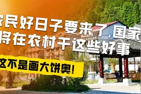 农民的好日子要来了，国家将在农村干这些好事，可不是画大饼奥！视频封面