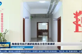 海南省司法厅调研组到东方市开展调研视频封面