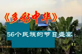 多彩中华：56个民族的节日盛宴视频封面