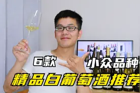 喝点不一样的！小众品种高分精品白葡萄酒，夏天清凉之选视频封面
