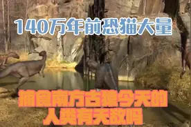 140万年前，恐猫大量捕食南方古猿，今天的人类有天敌吗？视频封面
