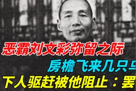 恶霸刘文彩弥留之际，房檐飞来几只乌鸦，下人驱赶被他阻止：罢了视频封面