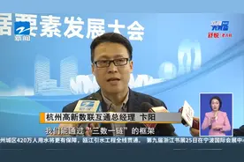 2024数据要素发展大会 建平台、修大路 我省推进数据基础设施互通视频封面