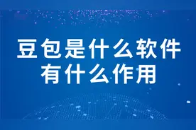 豆包是什么软件有什么作用