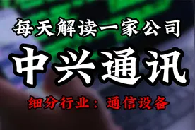 深度挖掘中兴通讯背后的逻辑视频封面