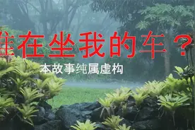 男子骑自行车去买菜，后座上莫名奇妙的坐了一个人，那它到底是谁视频封面