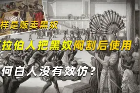 同样是贩卖黑奴，阿拉伯人把黑奴阉割后使用，为何白人没有效仿？视频封面