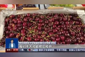 真相来了：车厘子吃多了会中毒？视频封面