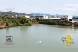 水源是非洲猪瘟传播的重要途径，猪每天都要饮水，如何保证安全？视频封面