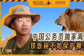 中国公务员抛家离职远赴非洲14年，铁饭碗不如看狮子?视频封面