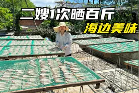 二嫂太能干了，二哥取到二嫂真幸运，直接躺赢视频封面