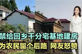 严禁给回乡干分宅基地，建别墅私人会馆！要为农民留个后路！视频封面