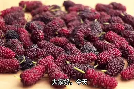 桑葚是热性还是凉性？桑葚干泡水喝有什么好处？哪些人不适合吃？视频封面