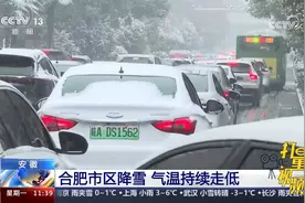 安徽：合肥市区降雪，气温持续走低视频封面
