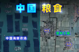 中国，如何养活14亿人口？视频封面
