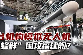 台机构模拟无人机“蜂群”围攻福建舰？岛内网民：“痴人说梦”视频封面