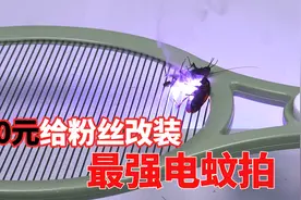 改装最强电蚊拍，电到蟑螂冒白烟，蚊子直接炸飞视频封面