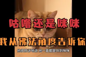 到底是“咕噜”还是“咪咪”，我从佛法的角度告诉你视频封面