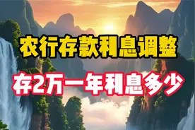 展开1月1日，农行存款利息调整:2万元存一年，平均利息有多少?视频封面