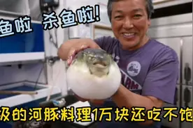 河豚是剧毒的鱼 吃不好会死人 来看看日本高级餐厅如何处理河豚鱼视频封面