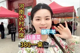 随200来河南农村搂席380一桌～鱼猪牛羊全了～你们觉得值不值？视频封面