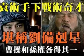 袁术麾下两大奇才，专克刘备！曹操孙权各得其一，成就三分天下视频封面