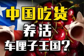 酷爱车厘子的中国吃货，养活了整个智利？视频封面