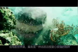 《鲨滩》：少女南希在海滩冲浪遭遇鲨鱼袭击，独自求生视频封面