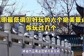 昆明最低调但好玩的六个绝美景点，你玩过几个？视频封面