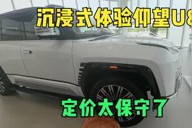 仰望U8超长详解，竞品有的它都有，靠实力倒逼豪车大降价视频封面