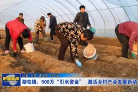 湖屯镇：500万“引水资金” 激活乡村产业发展新动能视频封面