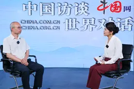 “双碳”背景下，中国能源转型为何成绩显著？视频封面