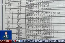 “拉大旗 作虎皮” 北京警方破获批量制假证件冒充央企诈骗案视频封面