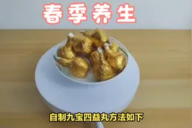 如何自制九宝四益丸十物丸