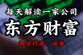 深度挖掘东方财富背后的逻辑视频封面