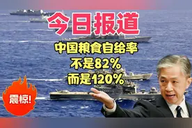 中国粮食自给率，不是82%，而是120%视频封面