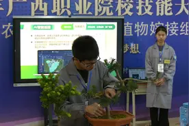 “植物嫁接”比赛 优胜队伍有机会出战世界赛视频封面
