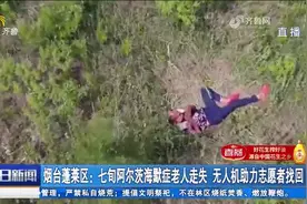72岁阿尔茨海默症老人凌晨走失，志愿者冒高温用无人机成功寻人视频封面