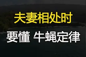 你再有本事，在夫妻相处时，要懂得“牛蝇定律”视频封面