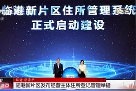 临港新片区发布经营主体住所登记管理举措视频封面