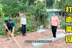 改造农家菜园子，花几十元做菜沟板，放在地里实用又美观太安逸了视频封面